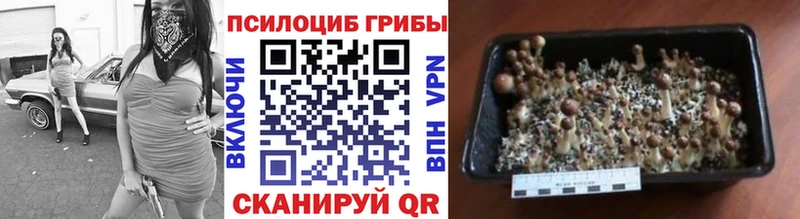 Купить закладки  Меленки  Псилоцибиновые грибы Magic Shrooms 